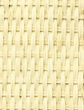 CANE WEBBING CLOSE WEAVE MESH